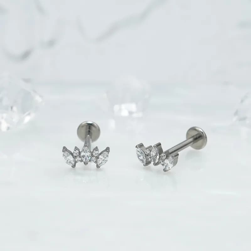 1pair Of Women's Earrings With Floral Stainless Steel Zircon Earrings Crystal Cluster Bloom