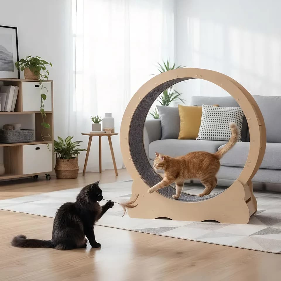 Cat Wheel, Large Cat Treadmill for Indoor Pets, Cats Exercise Running Wheel with Detachable Carpet, Quiet and Sturdy, Suitable for Most Cats Running / Walking / Training
