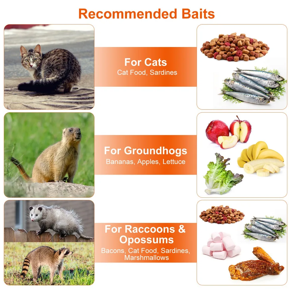 1 Pc Humane Cat Trap Cage Catch Release Live Animal Rodent Cage Collapsible Galvanized Wire For Raccoons Beavers Groundhogs Foxes Armadillos view 3