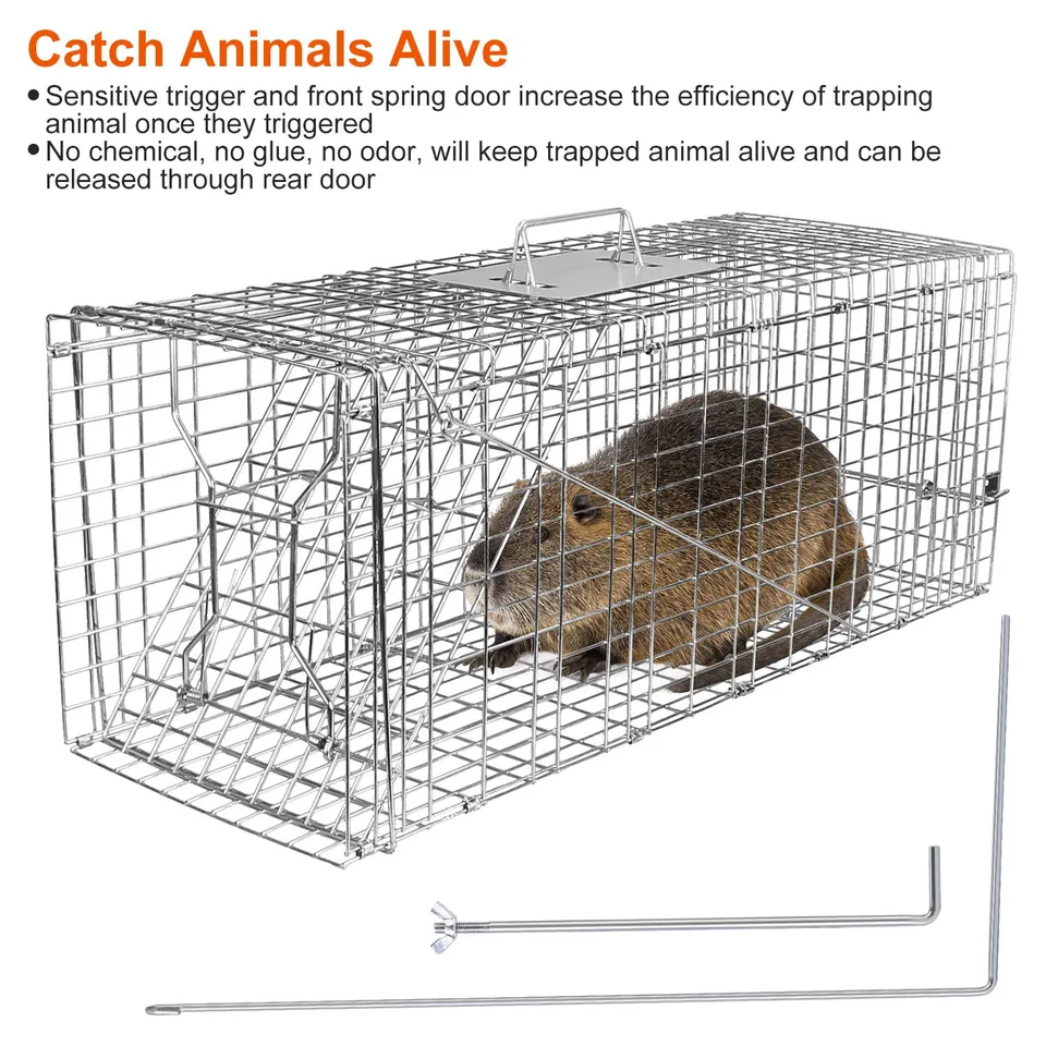 1 Pc Humane Cat Trap Cage Catch Release Live Animal Rodent Cage Collapsible Galvanized Wire For Raccoons Beavers Groundhogs Foxes Armadillos view 4