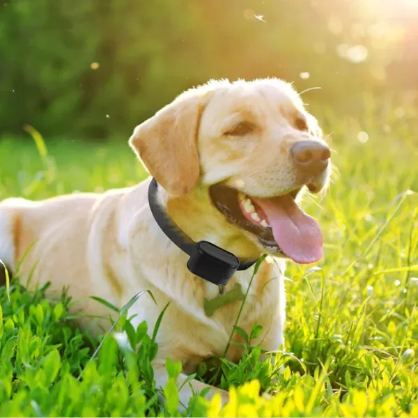 Electric Dog Fence System Pet Tone Shock Boundary Containment Water Resistant Collar Receiver For Small Medium Large Dog view 2