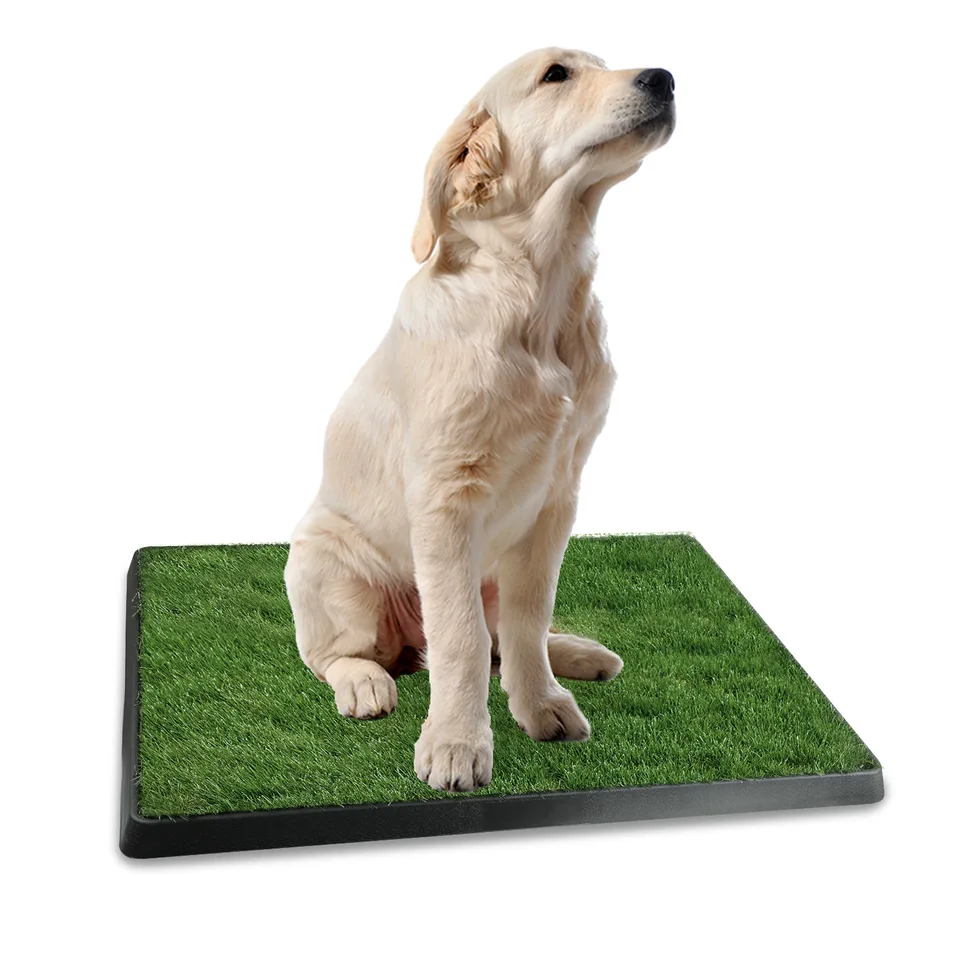 1 Pc Dog Potty Training Artificial Grass Pad Pet Cat Toilet Trainer Mat Puppy Loo Tray Turf For Small Medium Dogs Indoor Outdoor Use view 4