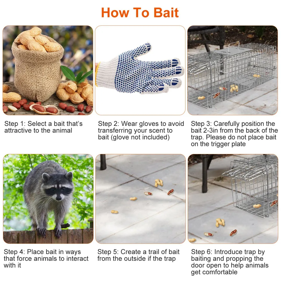 1 Pc Humane Cat Trap Cage Catch Release Live Animal Rodent Cage Collapsible Galvanized Wire For Small Raccoons Beavers Groundhogs Foxes view 3