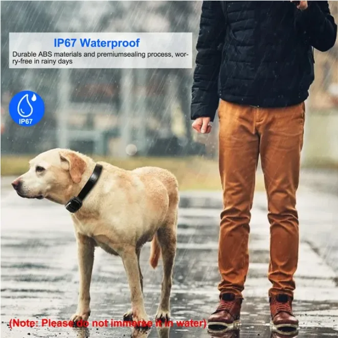 Dog Training Collar Receiver IP67 Waterproof view 2