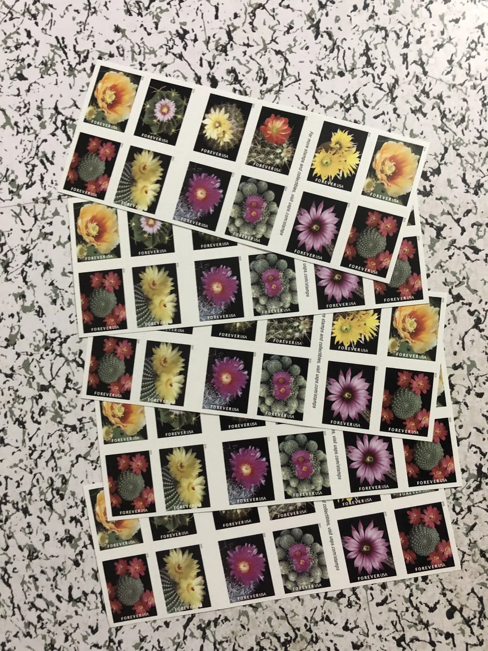 First-Class Rate U.S. FLAG STAMPS Cactus Flowers 1 0 0pcs FREE SHIPPING view 2