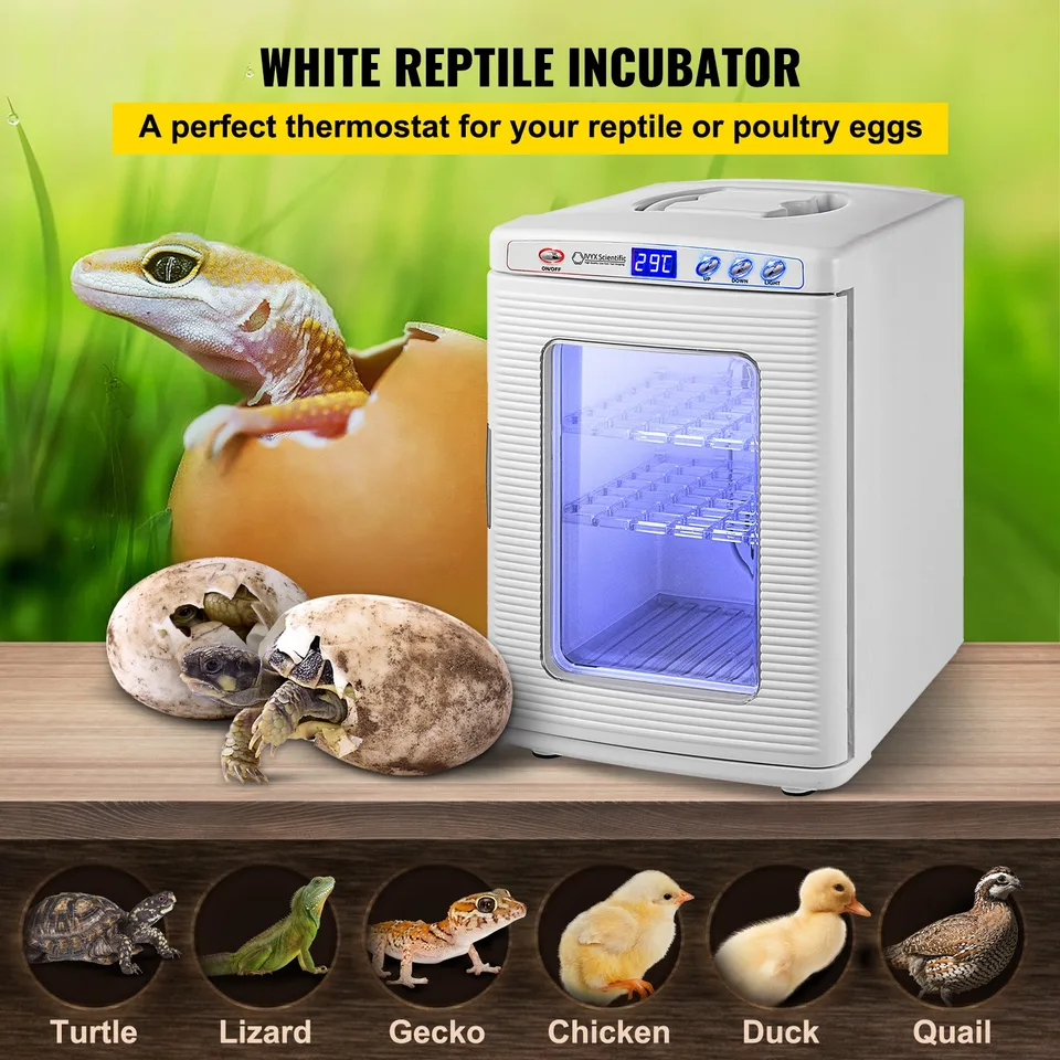 White Reptile Incubator 25L Scientific Lab Incubator Digital Incubator Cooling And Heating 5-42°C Reptile Egg Incubator 12V/110V Work For view 2