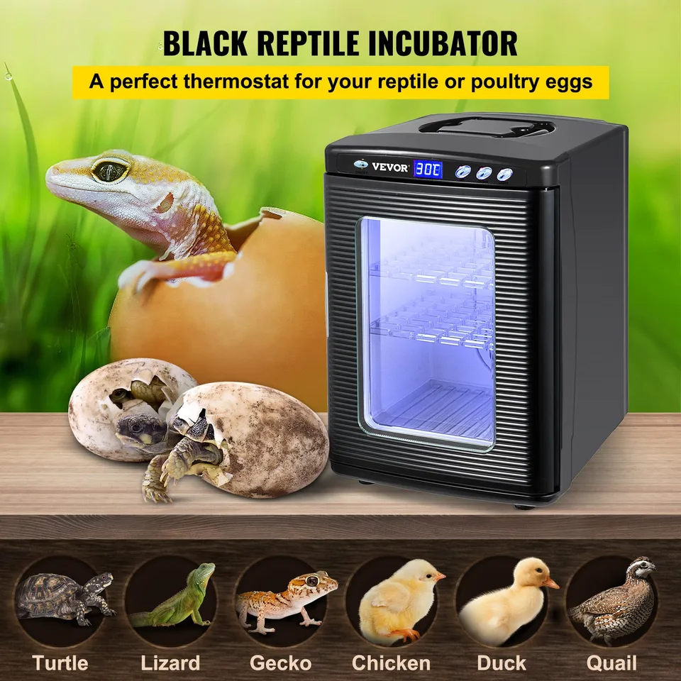Black Reptile Incubator 25L Scientific Lab Incubator Digital Incubator Cooling And Heating 5-42°C Reptile Egg Incubator 12V/110V Work For view 3