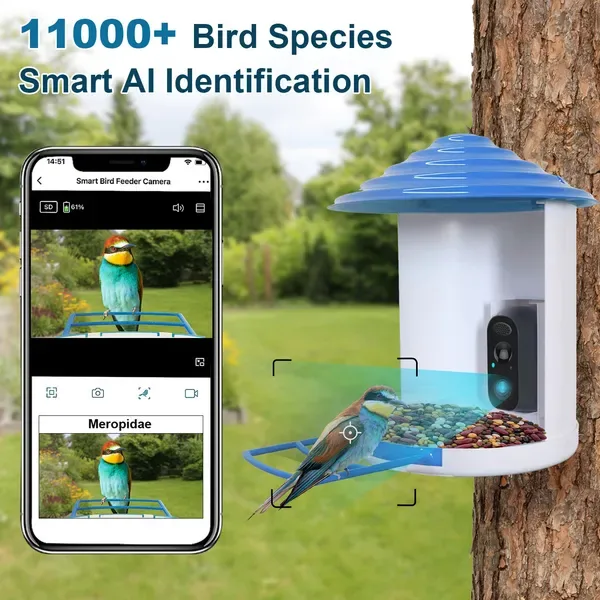 Smart Bird Feeder With Solar Powered Camera 1080P HD AI Identify PIR Motion Auto Capture Video Cloud Card Storage WiFi Connection App Control IP65 Waterproof view 4