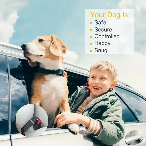 2 Pcs Pet Dog Seat Belt Leash Adjustable Pet Dog Cat Safety Leads Harness view 4