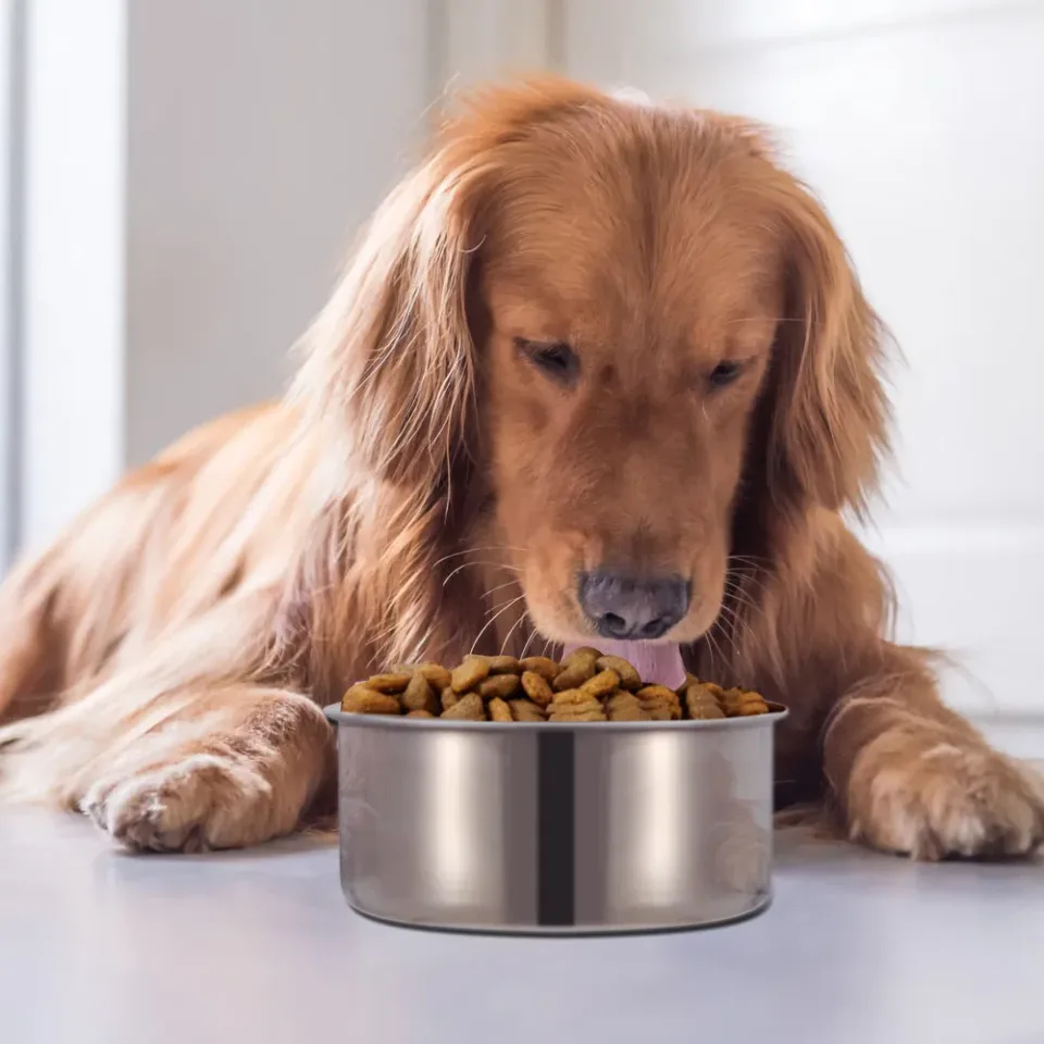 Stainless Steel Dog Bowl Pets Hanging Food Bowl Detachable Pet Cage Food Water Bowl With Clamp Holder view 2