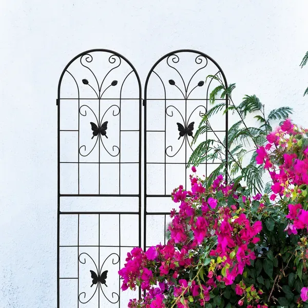 2 Pack Metal Garden Trellis 71" X 19.7" Rustproof Trellis For Climbing Plants Outdoor Flower Support Black view 3