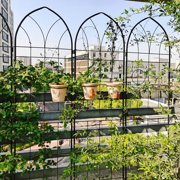 4 Pack Metal Garden Trellis 78.7" X 19.7" Rustproof Trellis For Climbing Plants Outdoor Flower Support Black view 3
