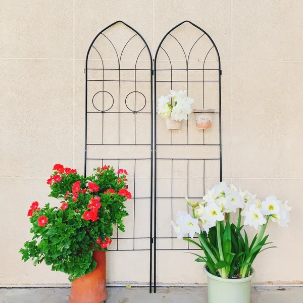 4 Pack Metal Garden Trellis 78.7" X 19.7" Rustproof Trellis For Climbing Plants Outdoor Flower Support Black view 2