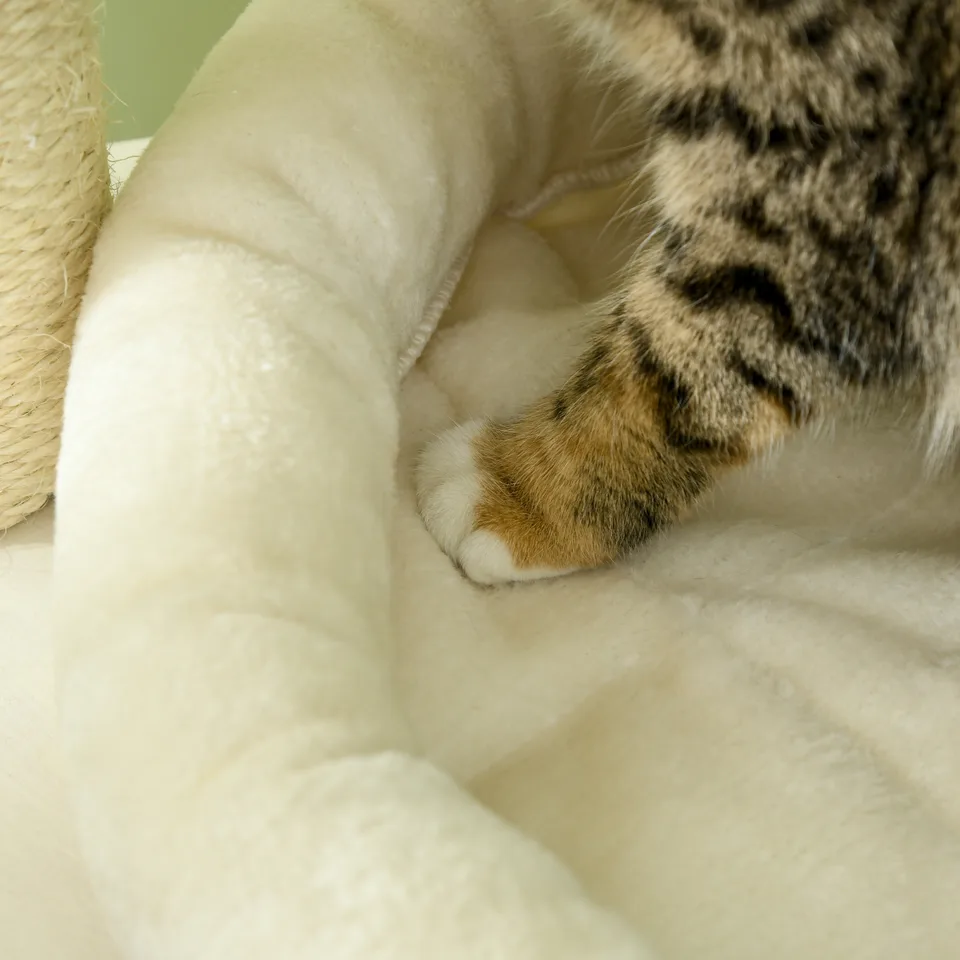 Cat Tree, 3 Level Cat Tower with Scratching Posts, Bed, Condo, Badminton Toys, for Multiple Kittens view 4