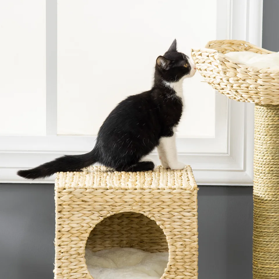 Cattail Weave Cat Tree for Indoor Cats Kitty Tower with Rattan Cat Condo, Wicker Bed, Ladder, Washable Cushions, 22.5" x 14.5" x 39.5" view 4