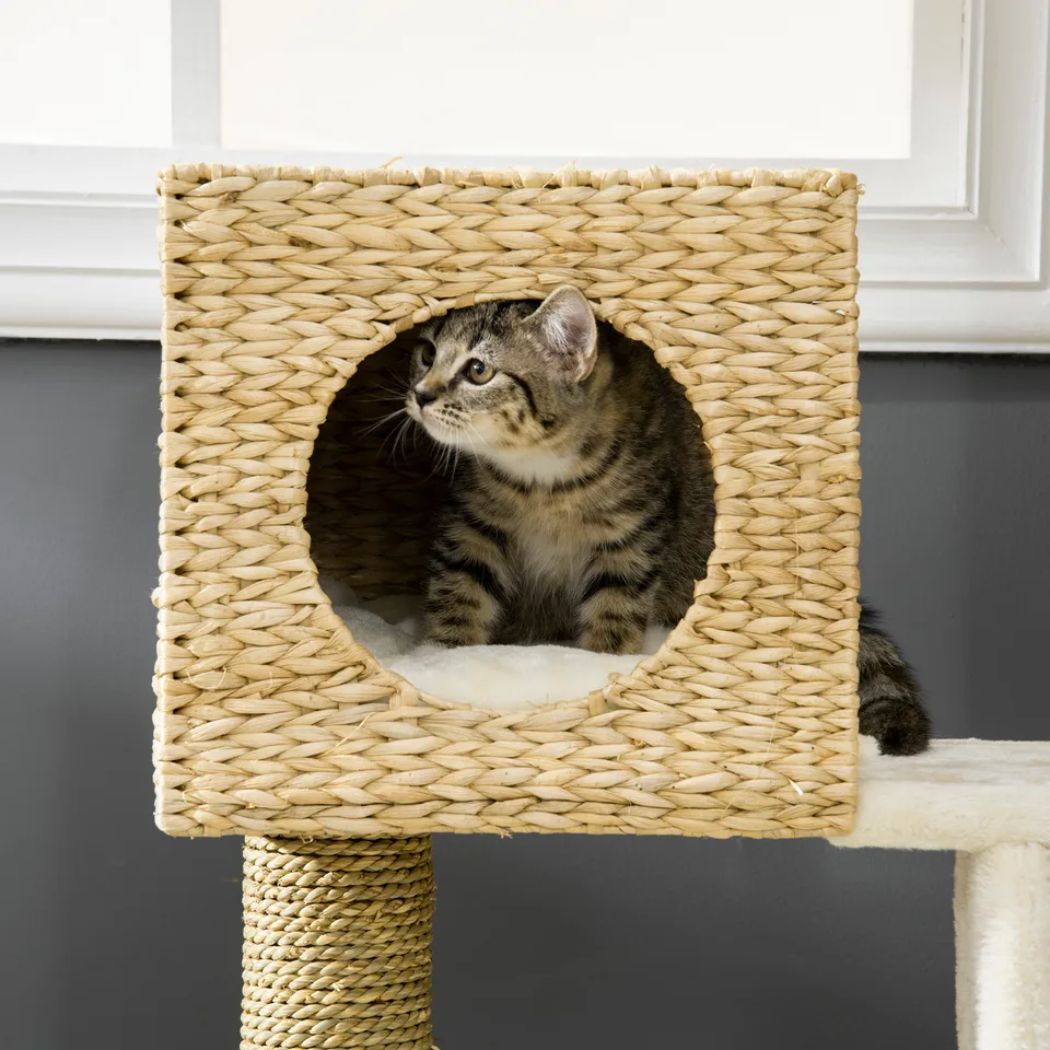 Cattail Weave Cat Tree for Indoor Cats Kitty Tower with Rattan Cat Condo, Wicker Bed, Ladder, Washable Cushions, 22.5" x 14.5" x 39.5" view 5