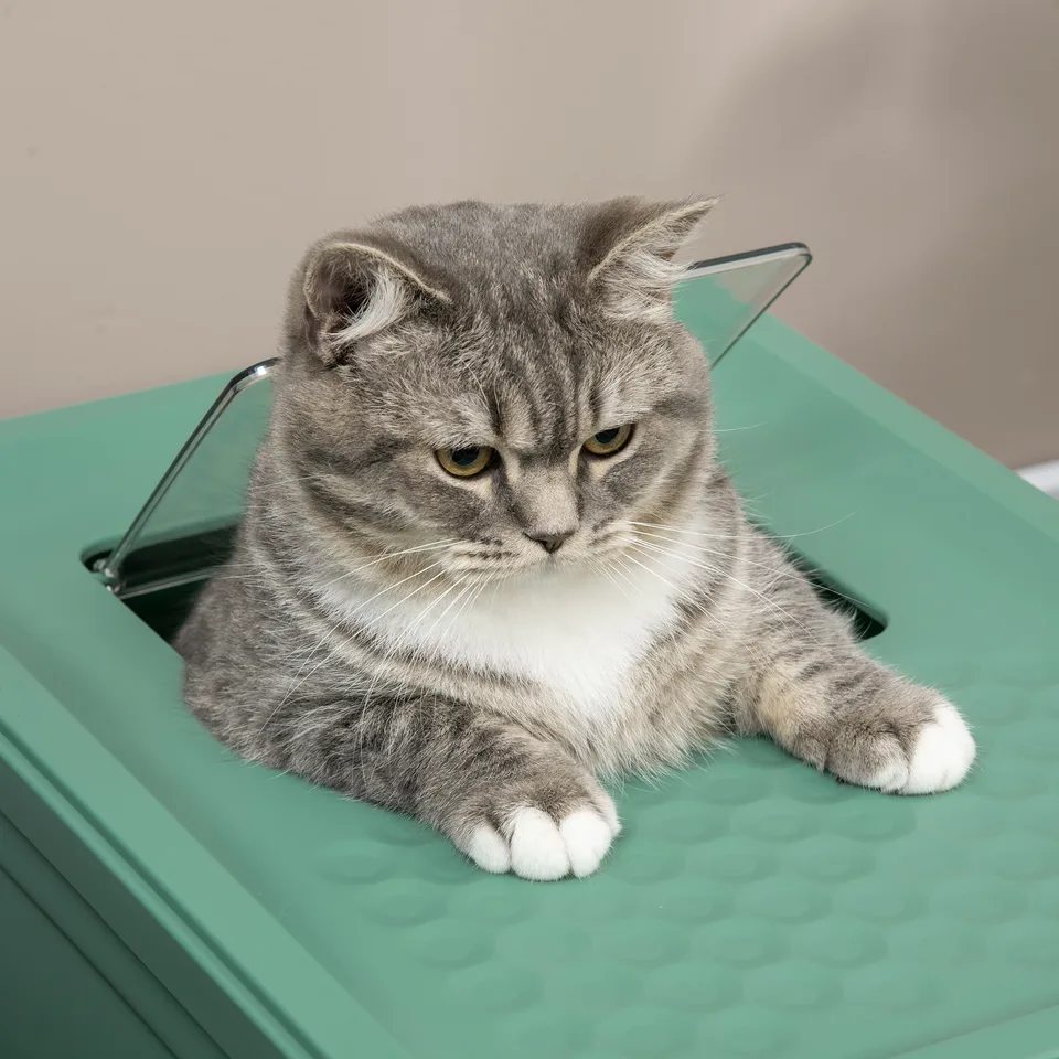 Fully Enclosed Cat Litter Box with Front Entry and Top Exit, Plastic, Green & White view 2