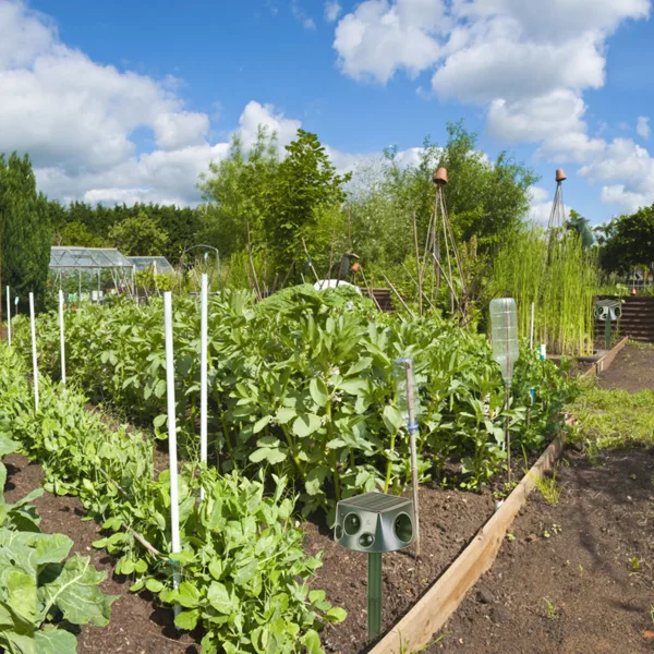 Solar & Type-C Rechargeable Animal Repeller - 3 Modes Ultrasonic+Buzzer+Vibration, IP66 Waterproof, 2200m Ah Battery, Repels Moles Bats view 3