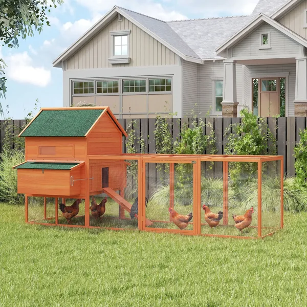 Chicken Coop