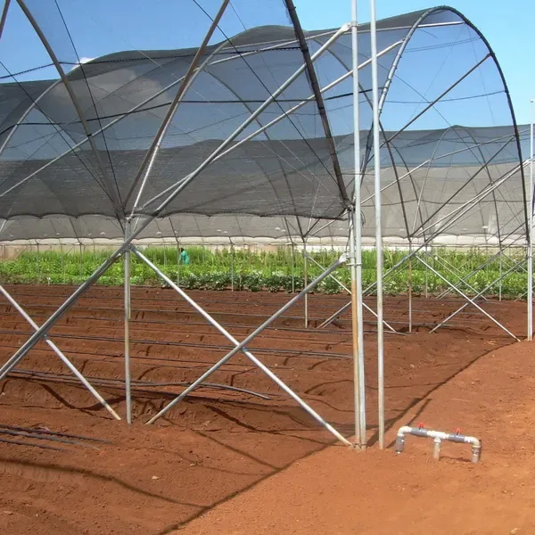 8ft*12ft Black Shade Net Fabric Provides Efficient Shading, Premium Materials, And An Enhanced Plant Growth Environment. view 4