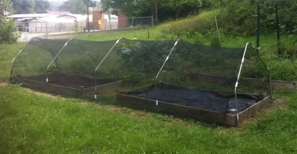 8ft*12ft Black Shade Net Fabric Provides Efficient Shading, Premium Materials, And An Enhanced Plant Growth Environment. view 3