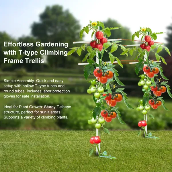 7FT 1PC Hollow T-shaped Climbing Trellis, High-strength Support, Stylish Design, Easily Create A Green Living Wall view 2