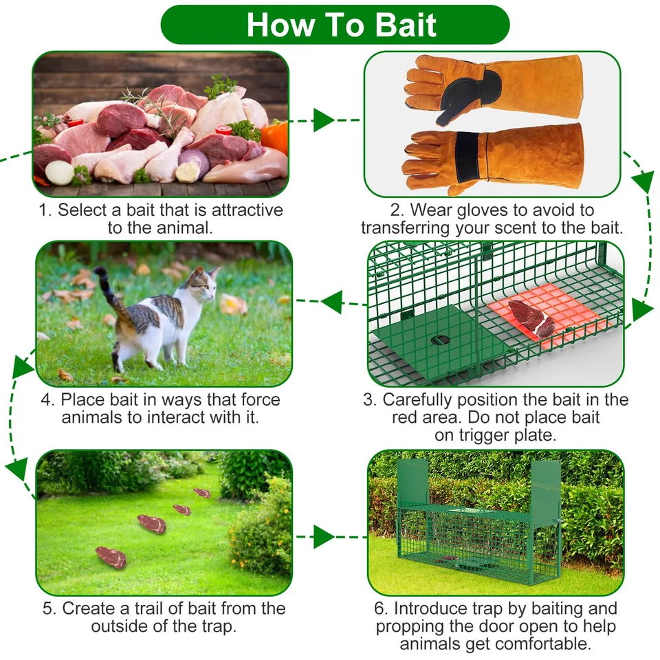 32in 2 Door Live Animal Cage Trap With Glove Green For Animals Under 12LBS Easy To Setup Humane Galvanized Iron Trap Cage For Rabbits view 3