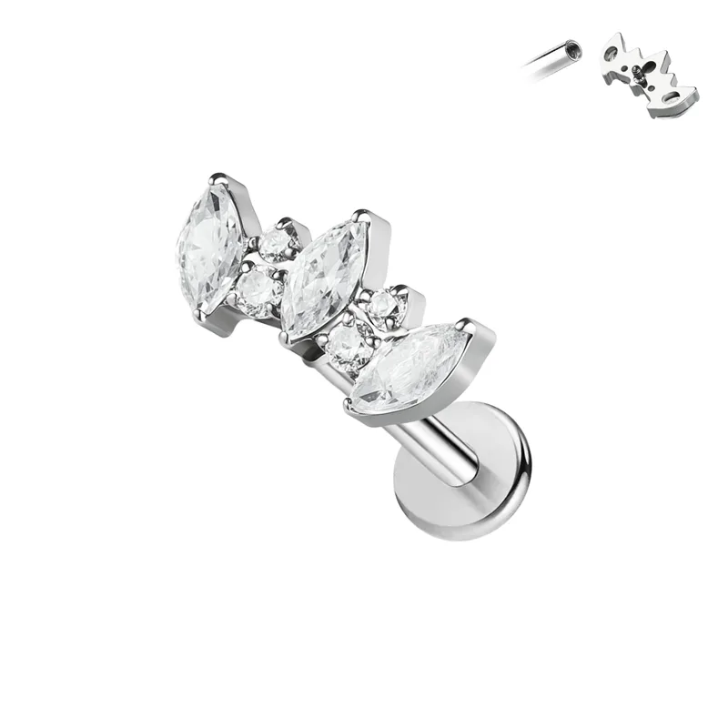 1pair Of Women's Earrings With Floral Stainless Steel Zircon Earrings Crystal Cluster Bloom view 3