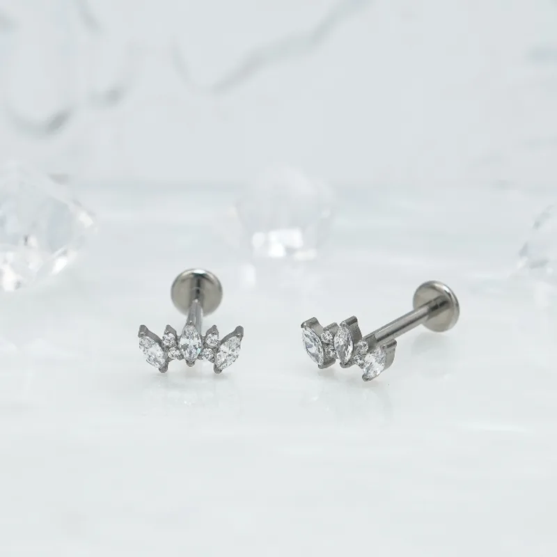 1pair Of Women's Earrings With Floral Stainless Steel Zircon Earrings Crystal Cluster Bloom