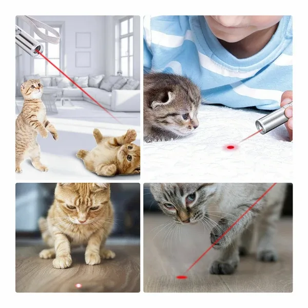 3in1 1mw Cat Laser Pointer Pen USB Rechargeable For Cat Toy White Torch & UV Light view 3