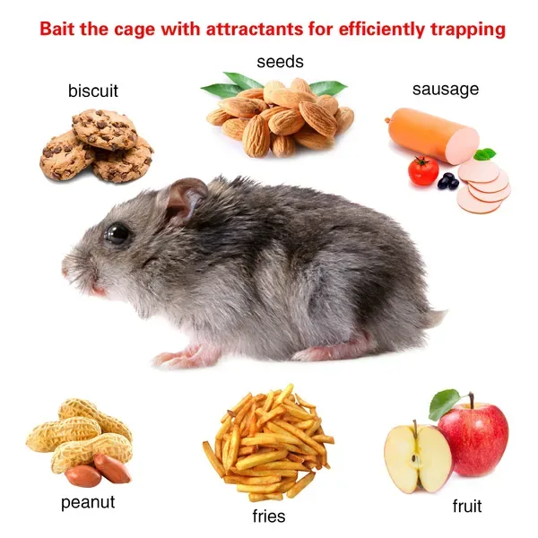 2 Pcs Humane Mouse Trap, High Sensitivity Gravity Pedal Auto-Lock Rodent Trap - Sturdy Galvanized Steel, Escape-Proof Small Mesh Design view 4