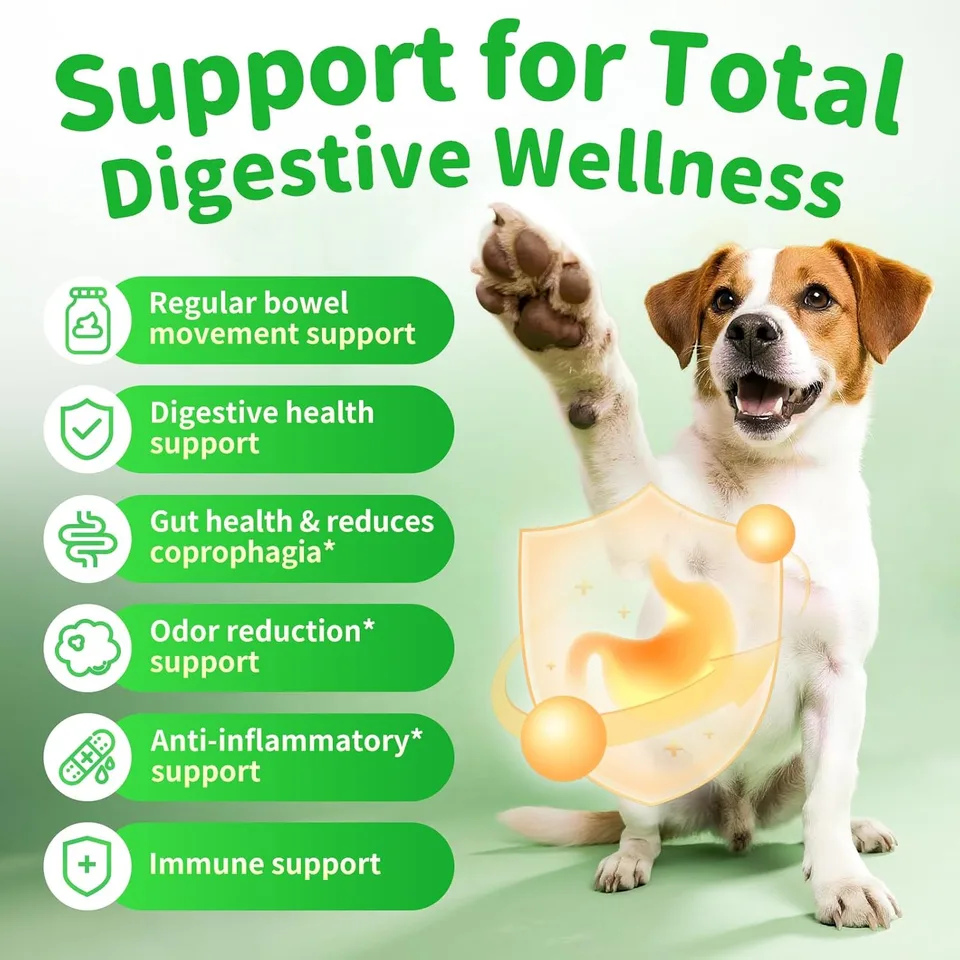 Dog Probiotics Digestive Enzymes,Pumpkin Fiber Chews For Gut Health, Constipation Upset Stomach Relief, Gas & Stool Support, Chicken Flavor view 4