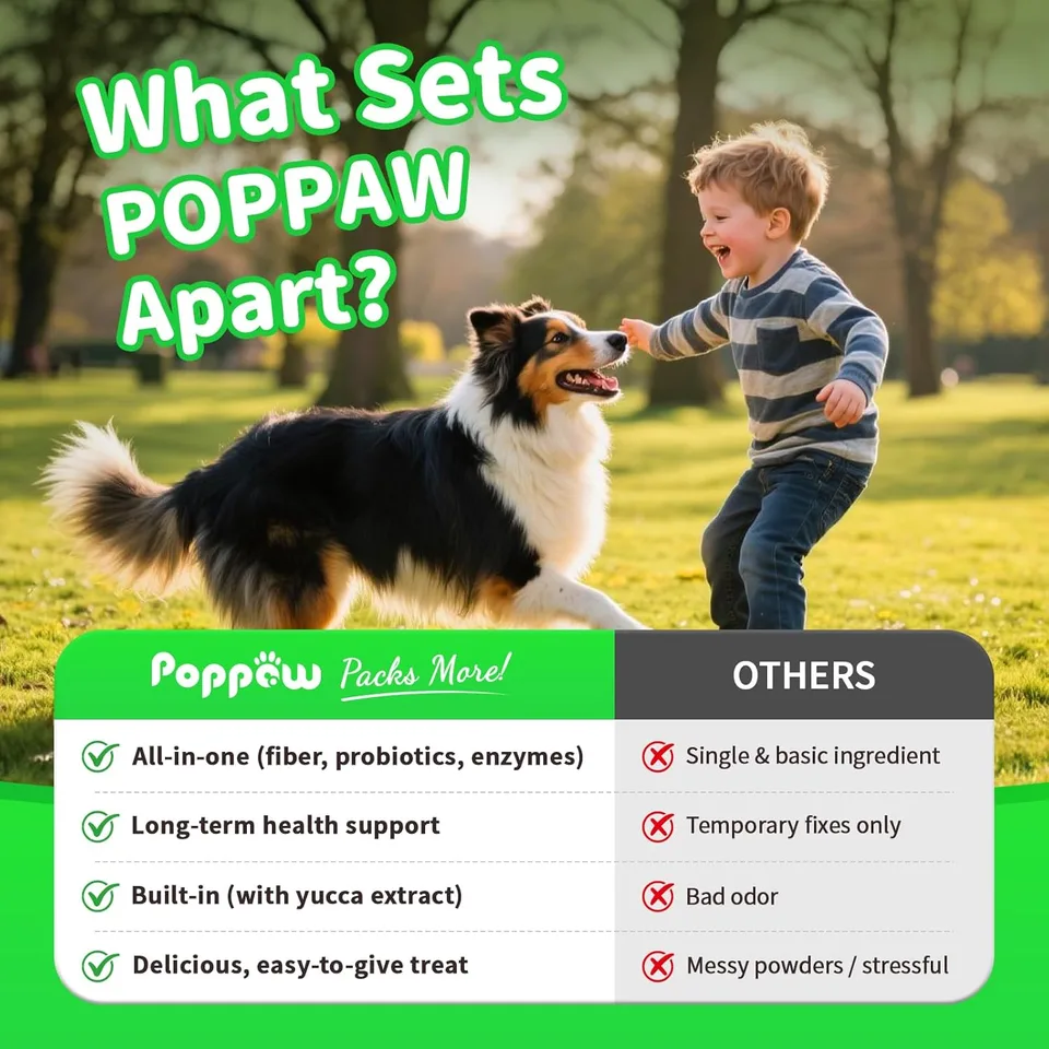 Dog Probiotics Digestive Enzymes,Pumpkin Fiber Chews For Gut Health, Constipation Upset Stomach Relief, Gas & Stool Support, Chicken Flavor view 2