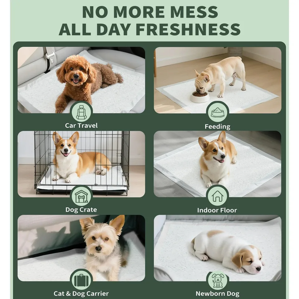 Made4 Pets Dog And Puppy Pee Pads, Leak-proof And Quick-drying Design, For Potty Training, 100 Pads Per Pack.,Self-pickup Only view 3