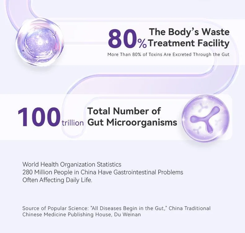4th-Generation Luminous Gut Probiotics 10 Billion CFU Effectively Improves Gastrointestinal Function view 2