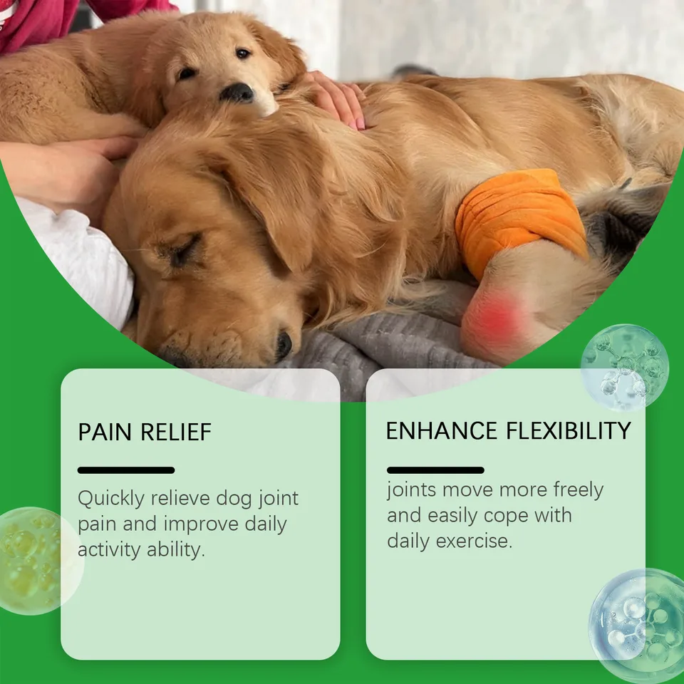 Dog Glucosamine Hip Joint Chews, Chondroitin Joint Support Supplements For All Breeds, Chicken Flavor Soft Chews To Relieve Joint Pain & view 2