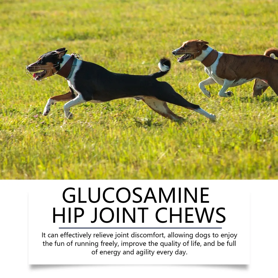 Dog Glucosamine Hip Joint Chews, Chondroitin Joint Support Supplements For All Breeds, Chicken Flavor Soft Chews To Relieve Joint Pain & view 3