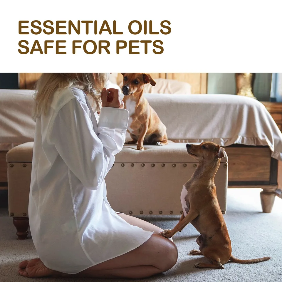 Dog Pet Care Oil With Lemon Balm Oil Fatty Acids, Joint & Muscle Relief Supplement Oil For Canine Mobility Support view 4
