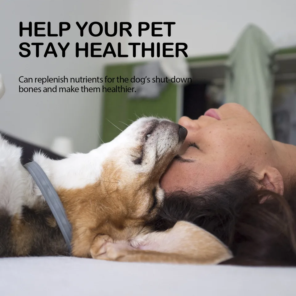 Dog Pet Care Oil With Lemon Balm Oil Fatty Acids, Joint & Muscle Relief Supplement Oil For Canine Mobility Support view 3