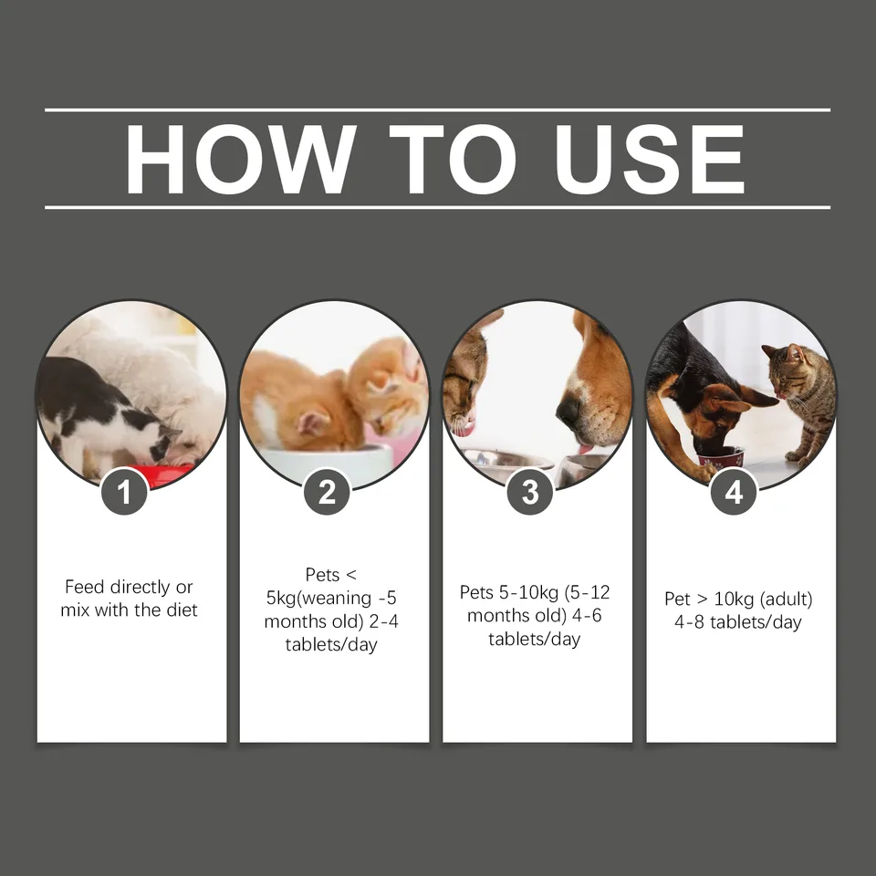 Pet Probiotic Chewable Tablets For Dogs & Cats Digestive Health Support, Immune Booster With Vitamin B2 & Yeast Selenium, 80 Tablets view 4