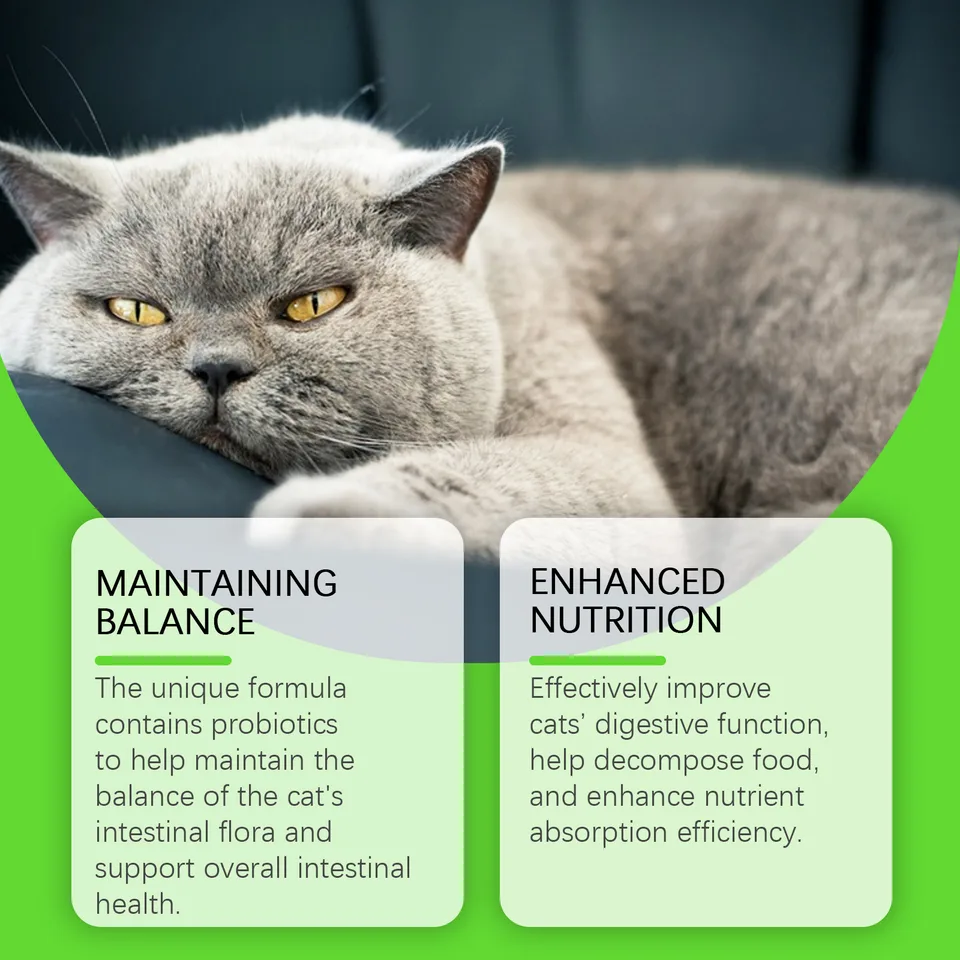 Cat Constipation Relief Probiotic Drops, Natural Digestive Support Supplement For Cats, Boost Nutrient Absorption & Appetite view 4