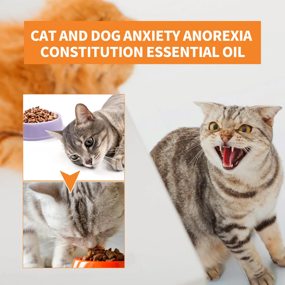 Pet Calming Hemp Oil For Dogs & Cats, Natural Anxiety Relief Supplement, Improve Appetite & Support Pet Health, 30ml view 4