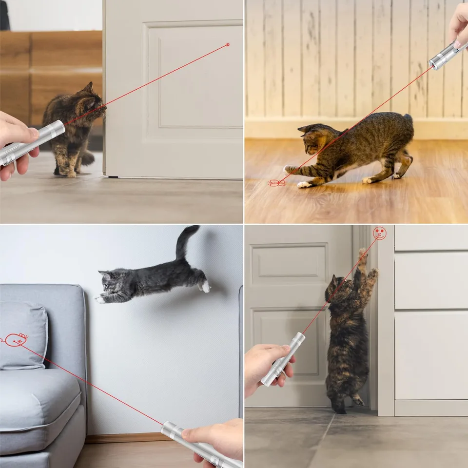 LIGHT FOR PETS view 5