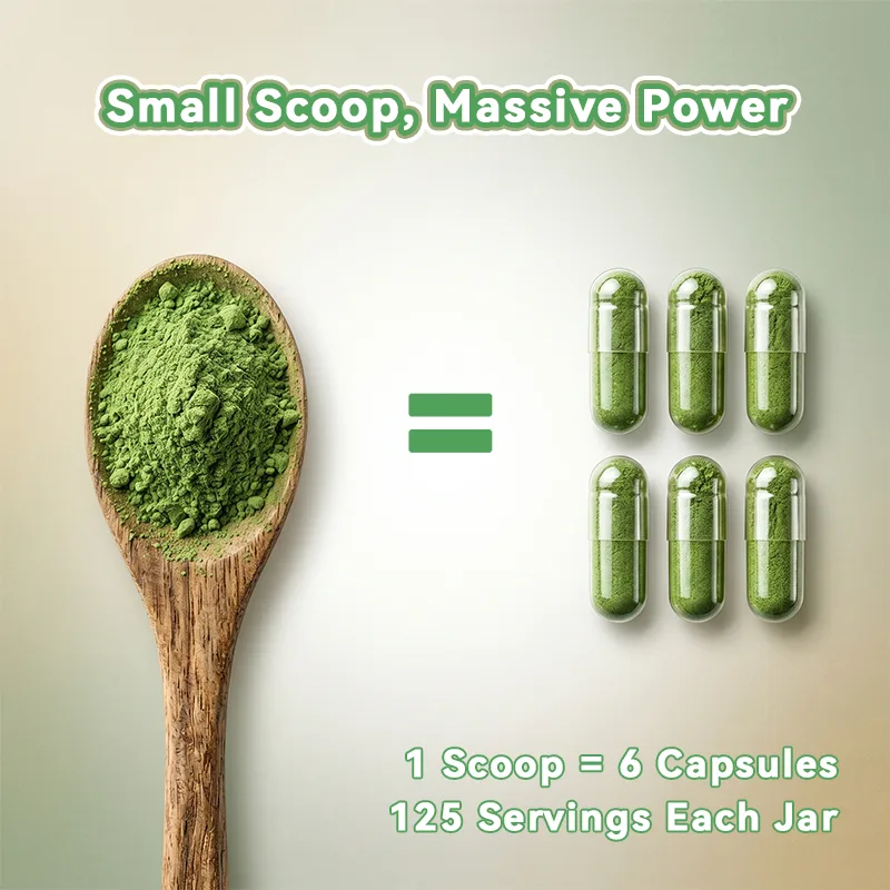 RELIERRE Pure Moringa Powder view 2