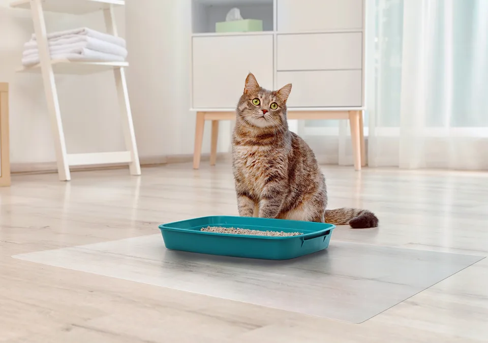 Frosted PVC Floor Mat -1.5mm Anti-Scratch Waterproof Pet Floor Mat For Dog Cat Feeding Area & Kennel Floor view 5