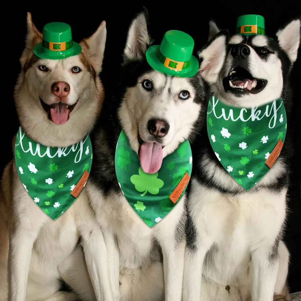 2 Pieces St. Patrick's Day Dog Bandanas, Double-Sided Reversible Triangle Scarf view 4