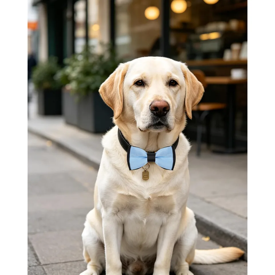 10 Pack Mixed Colors Dog Bowties For Large Dogs Sliding On Collar view 3