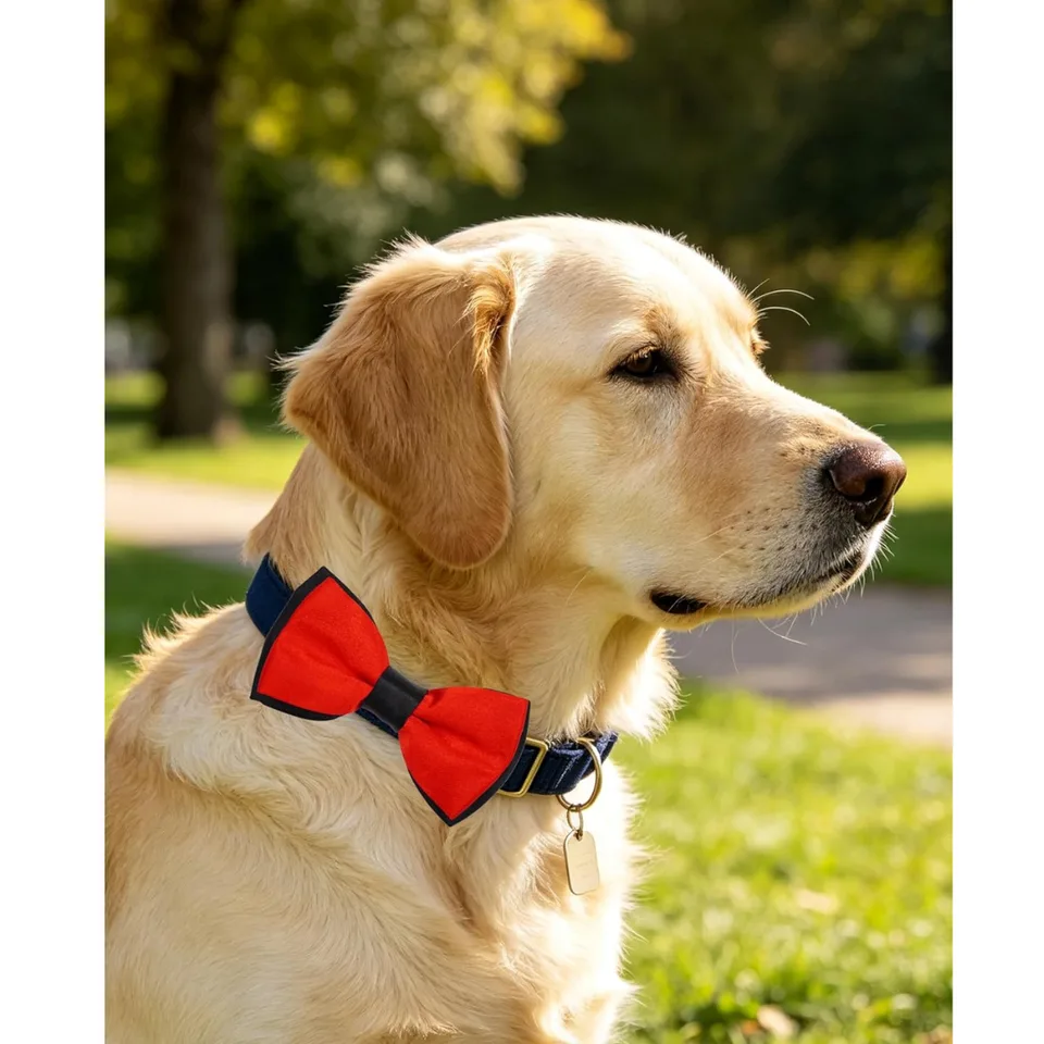 10 Pack Mixed Colors Dog Bowties For Large Dogs Sliding On Collar view 2