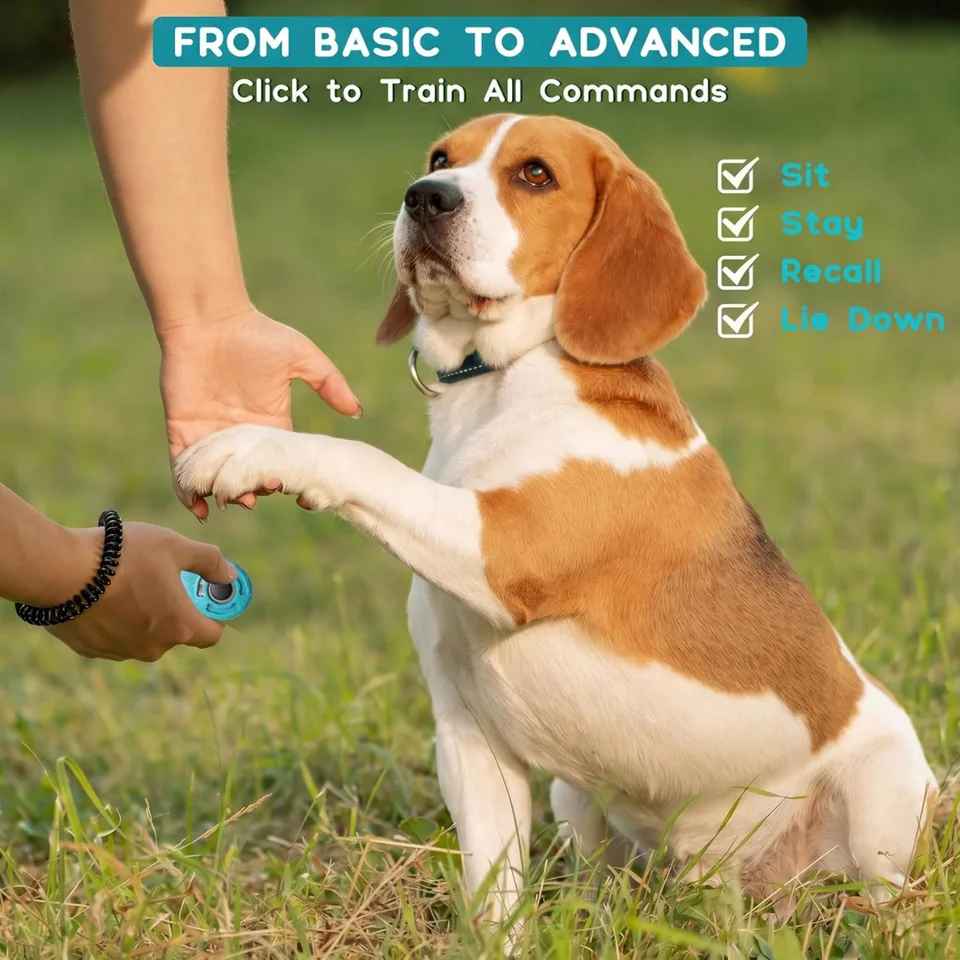 Dog Training Clicker With Sring Wrist And Keyring Pet Dog Training Clickers For Puppy, Cat view 4