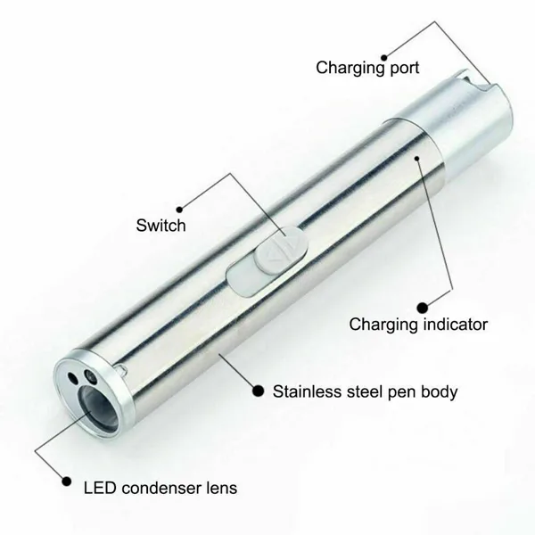 3 In1 1mw USB Rechargeable Pet Toy Pen Flashlight Red Laser Beam UV Light 3-Modes Lamp view 2